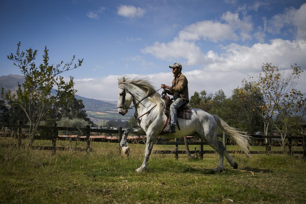 Hacienda Hosteria San Luis Cayambe Buitenkant foto
