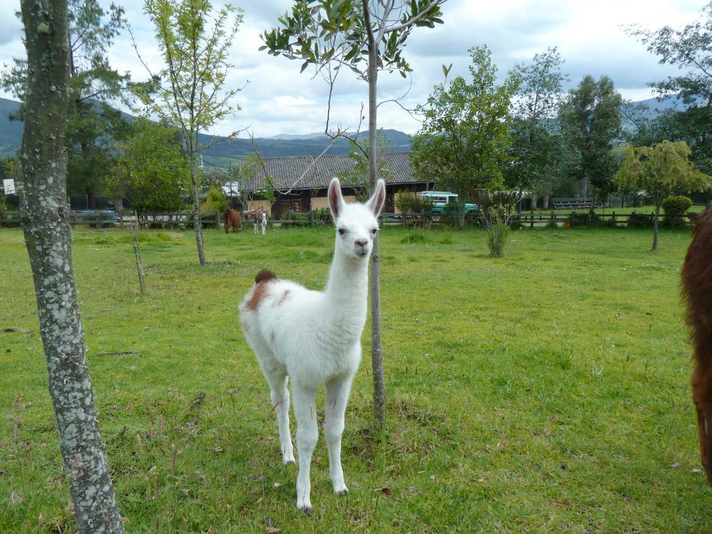Hacienda Hosteria San Luis Cayambe Buitenkant foto
